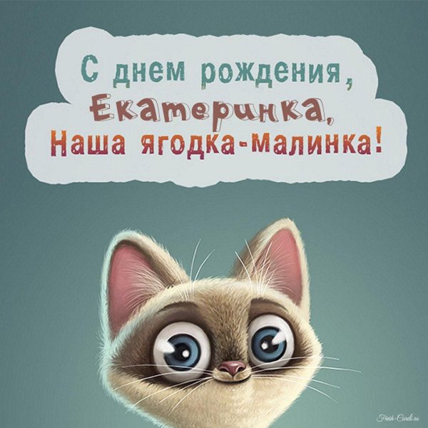 мультипликационный кот