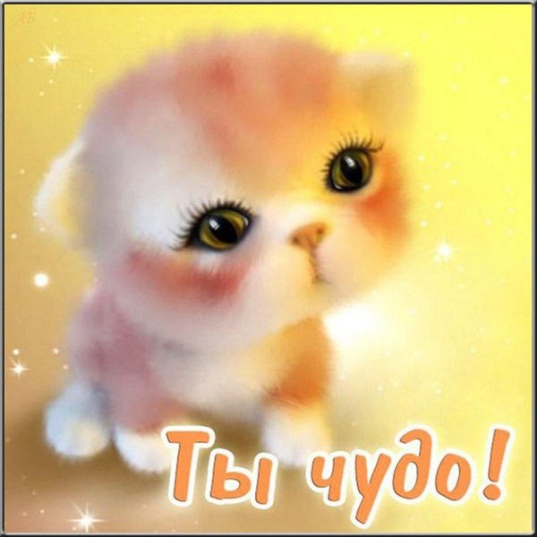 ты чудо