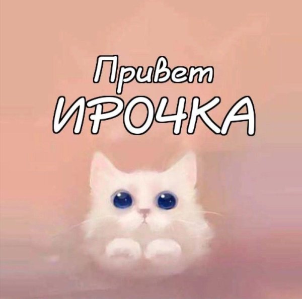 привет зайка