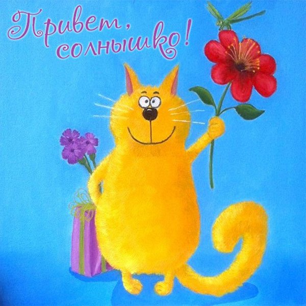 моему солнышку