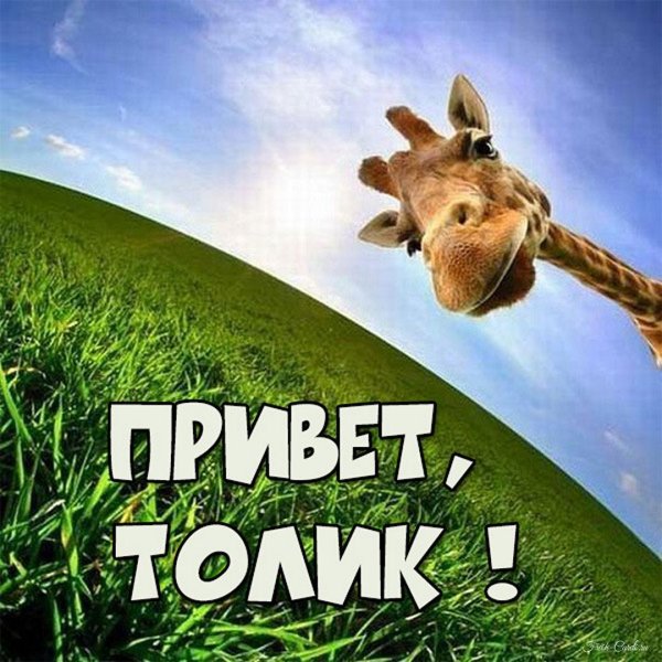 привет саня