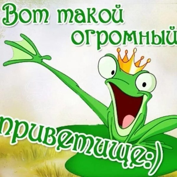 лягушачий король