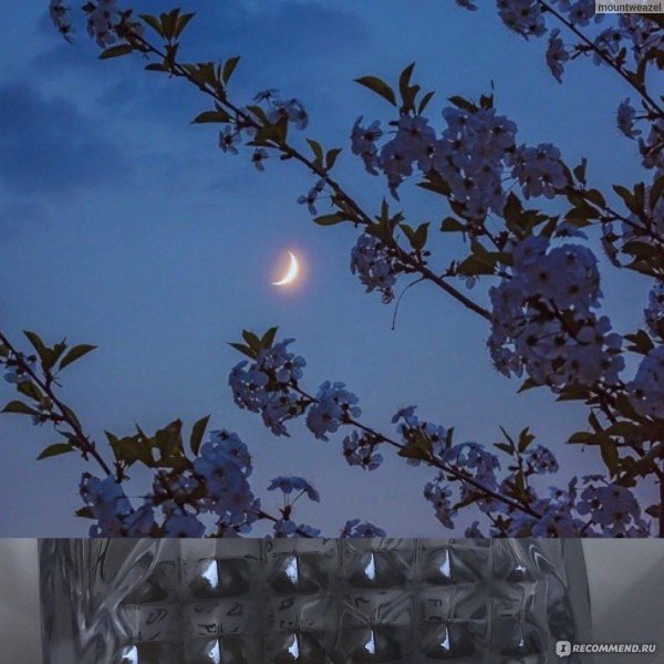 майский вечер