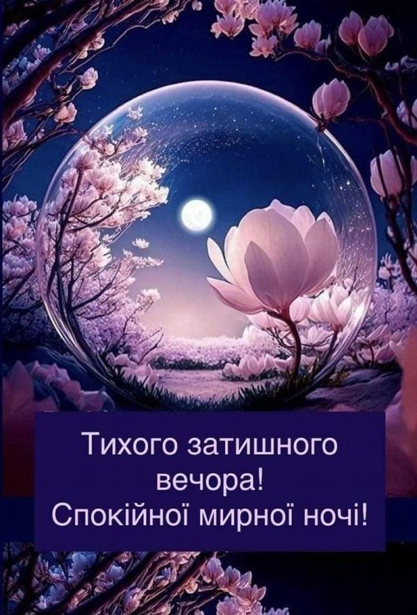 добрий вечір