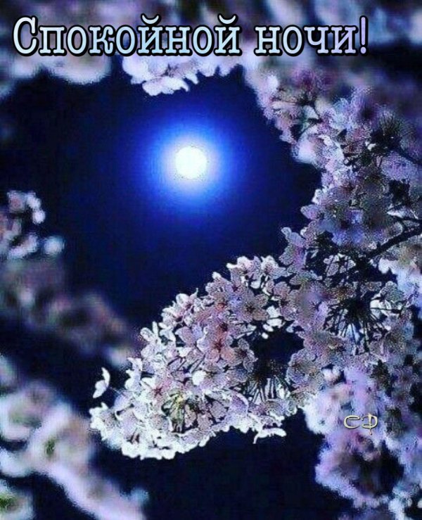 добрый вечер весна