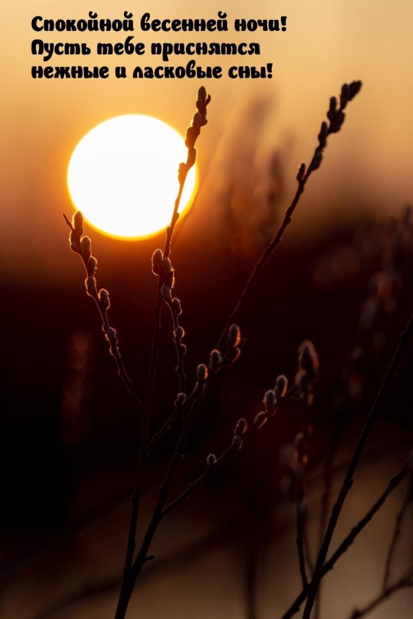 весенний закат