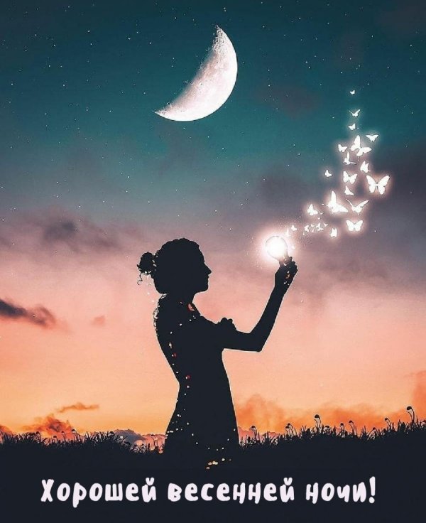 добрая ночь