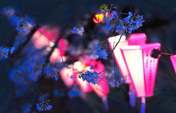 японские фонари