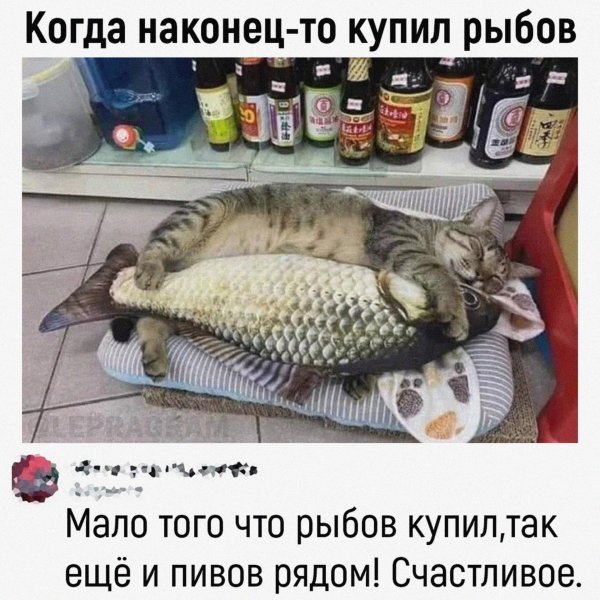 рыба прикол