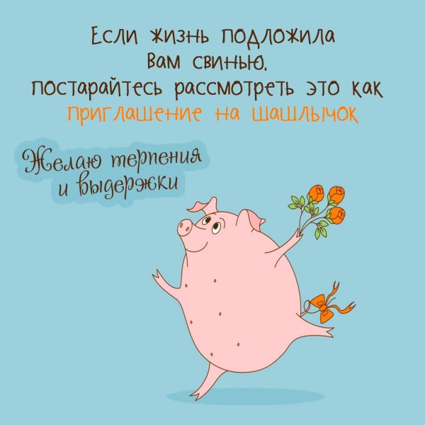 подложить свинью