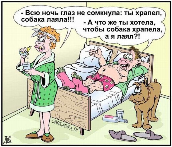 анекдот про