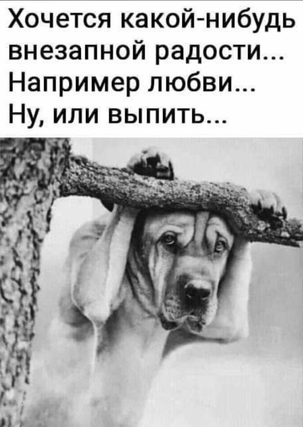 хочу внезапной радости