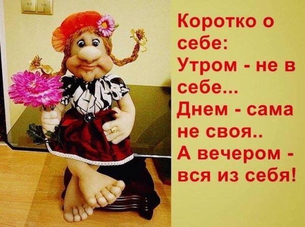 коротко о себе я у себя умничка