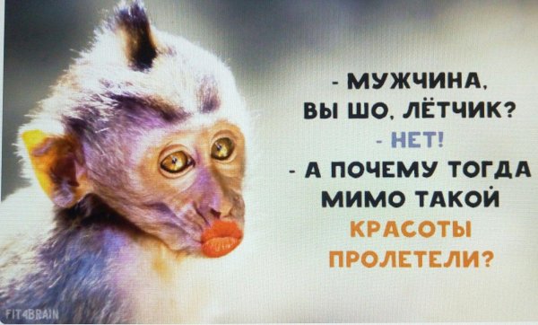 пролетели мимо такой красоты