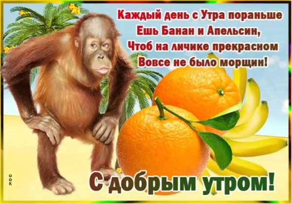 доброе утро с обезьянкой