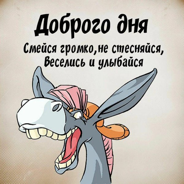 мультяшный осел