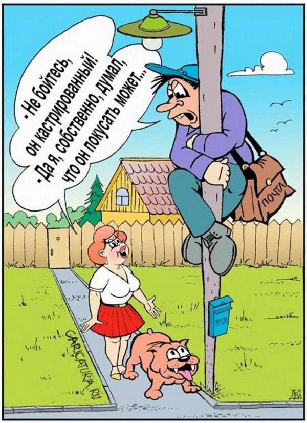 карикатура женщина