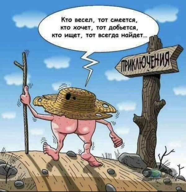 жопа ищет приключений
