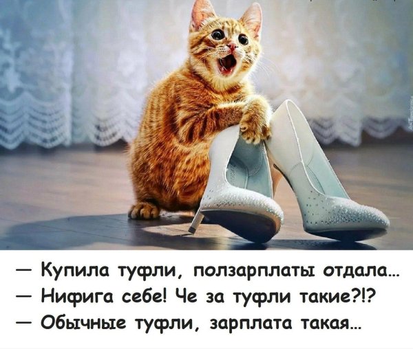 итальяно писсуаро