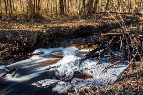 ручейки весной