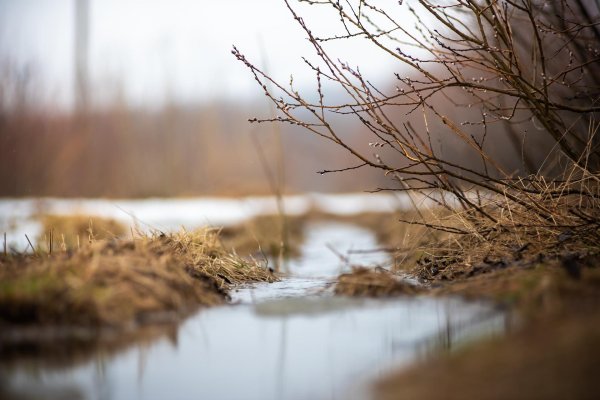 весенние пейзажи
