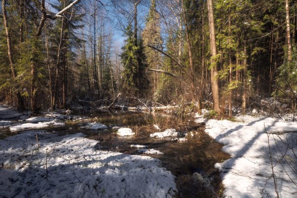 Весна ручьи