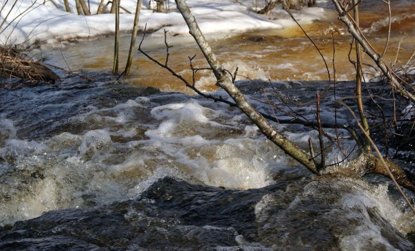 весенние ручьи