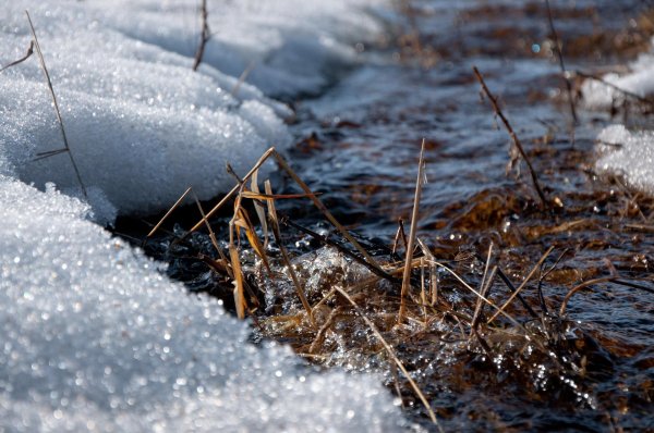 тает снег