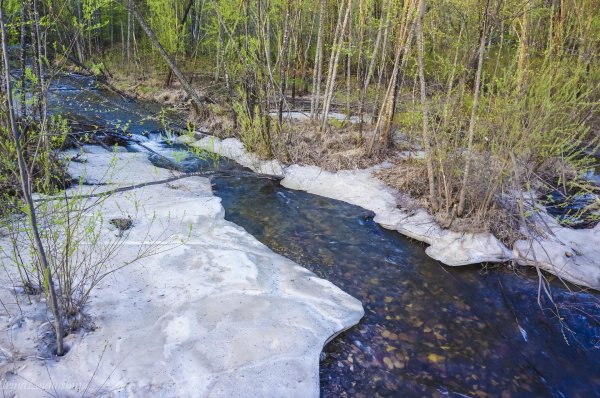 весенняя проталинка левитана