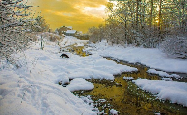 речка зимой