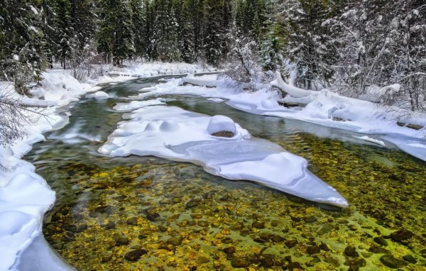 амзас приток томи
