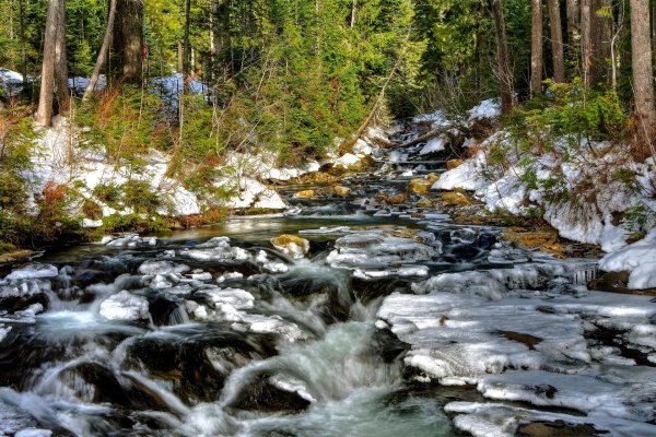 лесные ручьи карелии