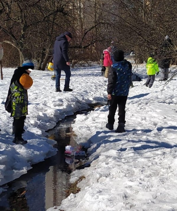 лужи весной