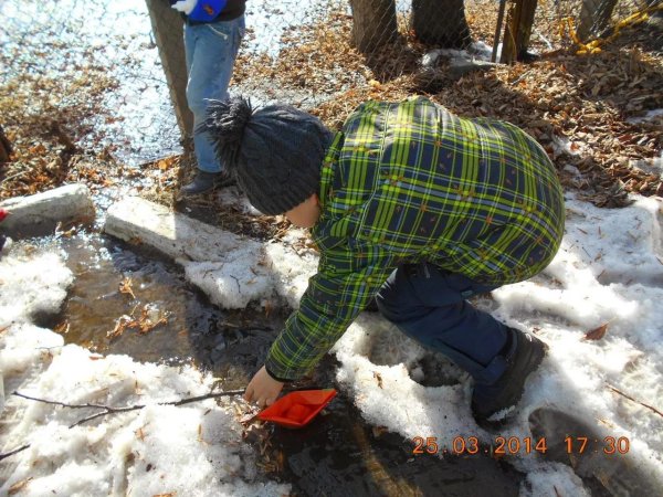 весенние ручейки