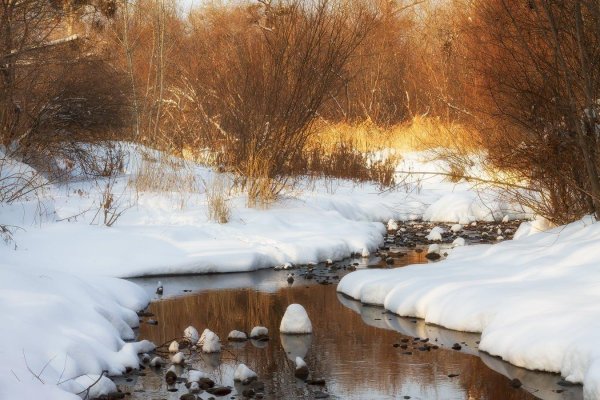 бегут ручьи журчат ручьи
