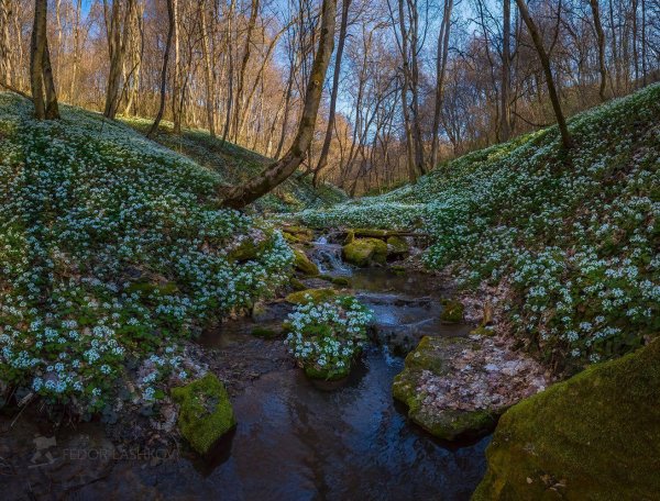 Весна ручьи