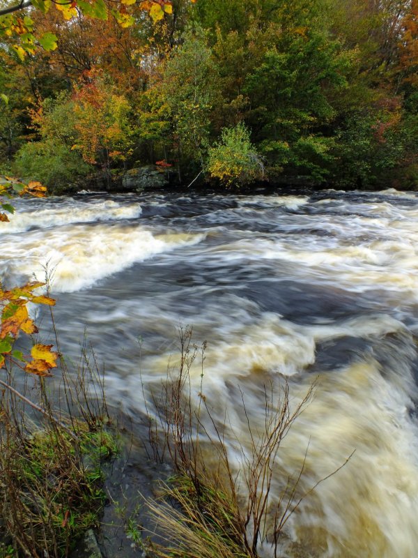 осенние пейзажи