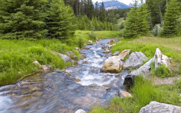 горная река