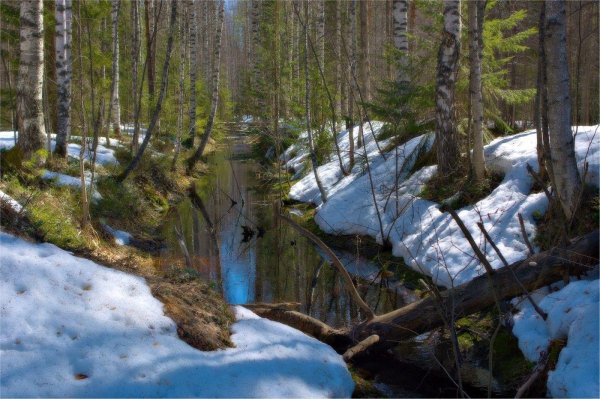 ручьи журчат бегут