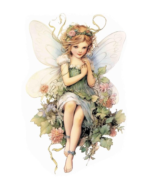 феи рисунки