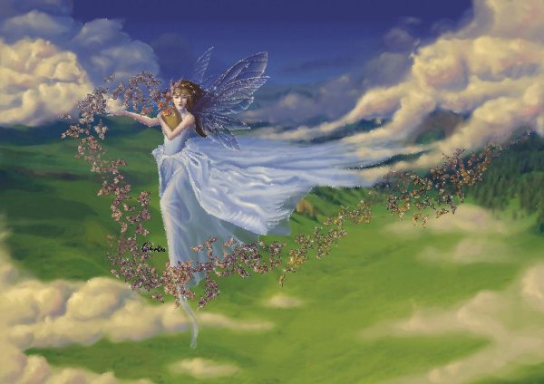 дорин вёрче волшебное царство фей