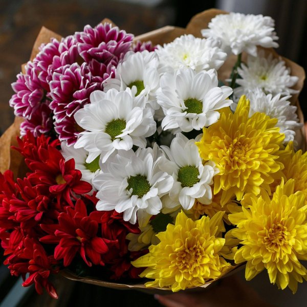 хризантемы микс