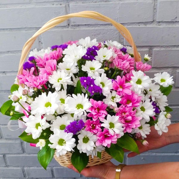 корзинка хризантемы бакарди