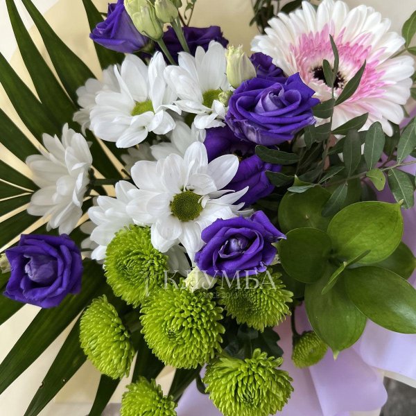 розы хризантемы