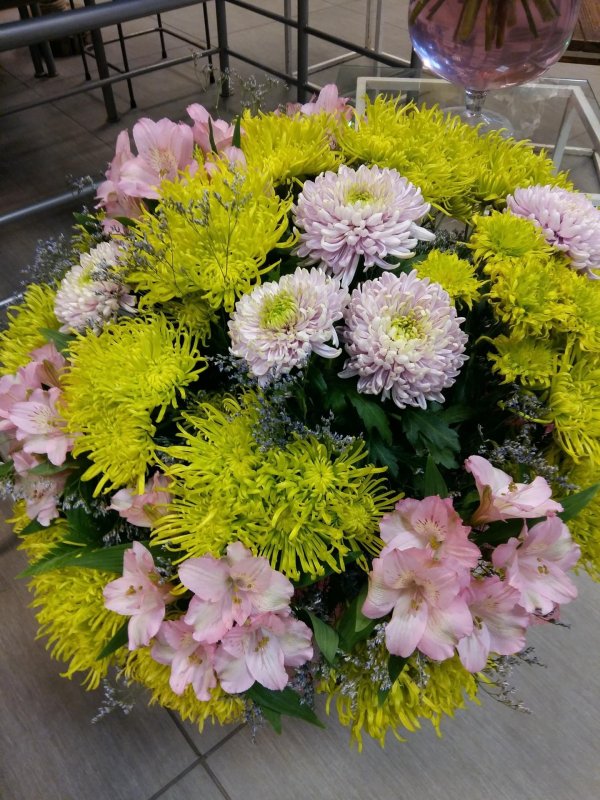 большие хризантемы