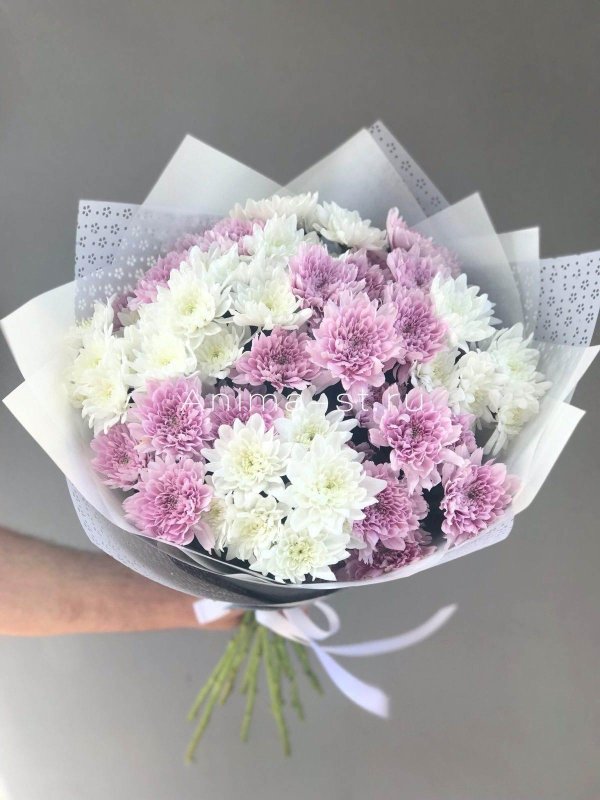 кустовые хризантемы