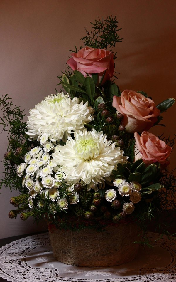 хризантема букетная торжество