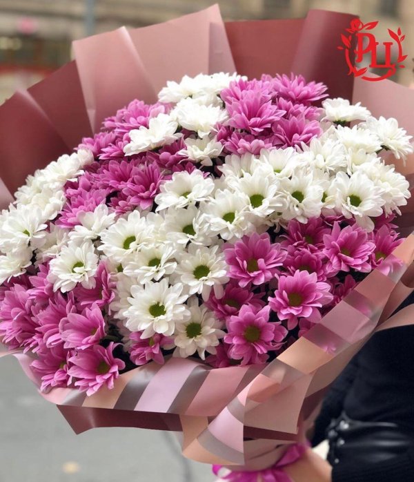 хризантема букетная торжество