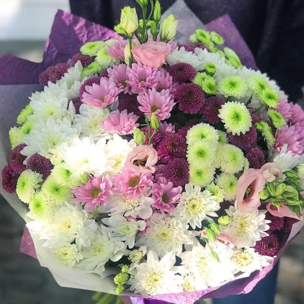 хризантемы кустовая