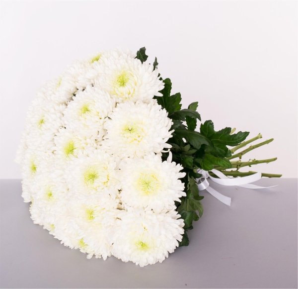 магнум хризантема одноголовая белая